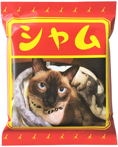 用途:ペット(記念品)